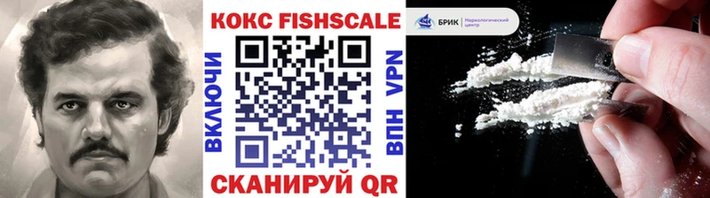 где купить наркоту  omg ССЫЛКА  Кокаин FishScale  Петушки 