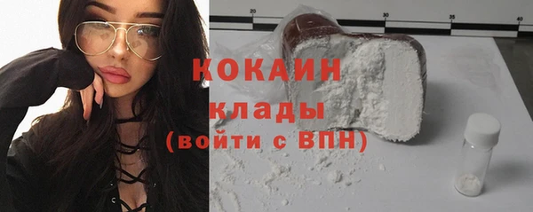 индика Верея