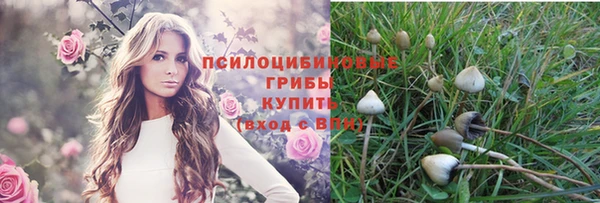 синтетический гашиш Володарск