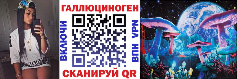 цены   Петушки  Псилоцибиновые грибы Psilocybine cubensis 